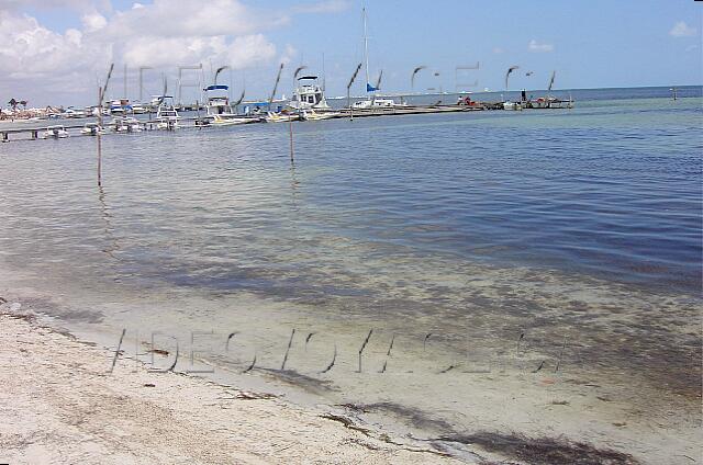 Mexique Cancun Carrousel Un mar en calma, las ondas de la zona son establecidos por el fondo Senior.