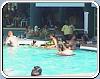 Bar Piscine / Pool de l'hôtel Grand Paradise Playa Dorada en Puerto Plata Republique Dominicaine