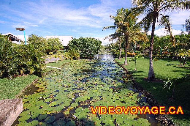 Republique Dominicaine Punta Cana Bavaro Casino Un étang que l'on traverse pour se rendre à l'hôtel