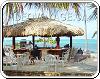 Bar Coral de l'hôtel Barcelo Bavaro Palace Deluxe en Punta Cana Republique Dominicaine