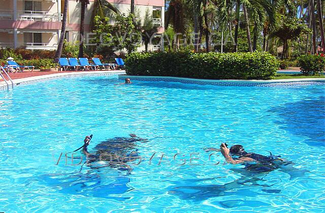 Republique Dominicaine Punta Cana Vista Sol Punta Cana Des cours de plongé sous-marine dans la piscine principale.