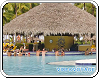 Bar Aquabar of the hotel Catalonia Bavaro in Punta Cana République Dominicaine