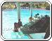 Bar Piscine / Pool of the hotel Grand Palladium Bavaro Resort in Punta Cana Republique Dominicaine