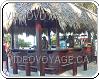Bar playa de l'hôtel Riu Palace Macao en Punta Cana Republique Dominicaine