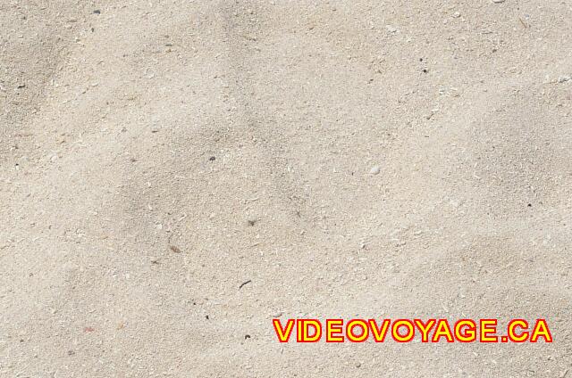 Mexique Riviera Maya Bahia Principe Tulum Le sable de couleur beige, de moyenne grosseur, sans coquillage dans le sable.