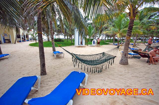 Mexique Playa del Carmen Riu Palace Mexico Entre l'hôtel et la plage, il y a de nombreux arbres dans le sable, avec de nombreuses chaises longues et quelques hamacs.