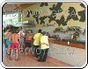 Restaurante Las Dunas de l'hôtel Solymar en Varadero Cuba