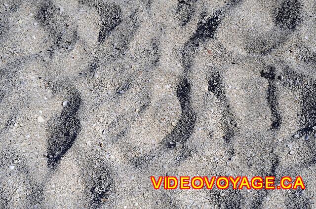 Cuba Varadero Bellevue Puntarena Playa Caleta Resort A coarser sand than in other areas of Varadero.