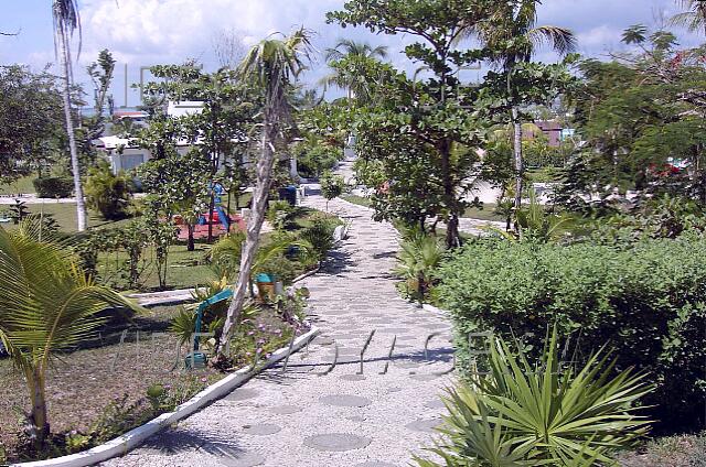 Mexique Cancun Maya Caribe Mature vegetation on the site.