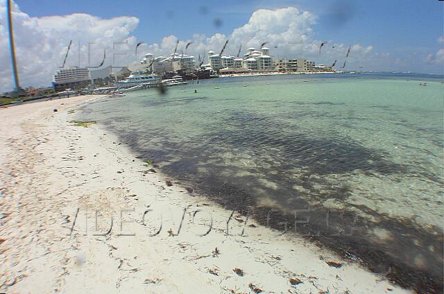 Mexique Cancun Oasis Palm Beach L'entrée dans la mer avec beaucoup d'algue parfois.