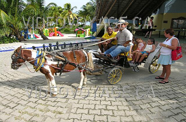 Cuba Cayo Guillermo Iberostar Daiquiri Une petite promenade pour les enfants!