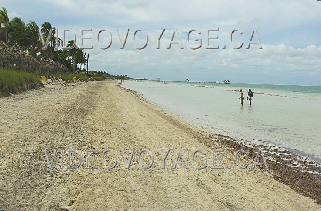 Cuba Cayo Guillermo Iberostar Daiquiri La playa en marea baja al oeste. La playa se limpia mecánicamente.