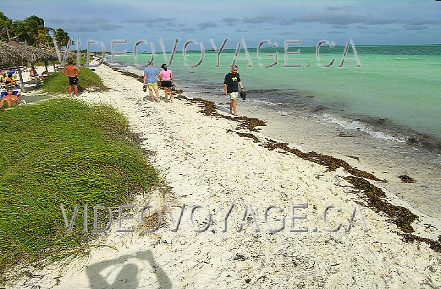 Cuba Cayo Guillermo Iberostar Daiquiri When the tide is high. The beach is then 3 meters deep. But the algae is present because there were three days of strong wind.