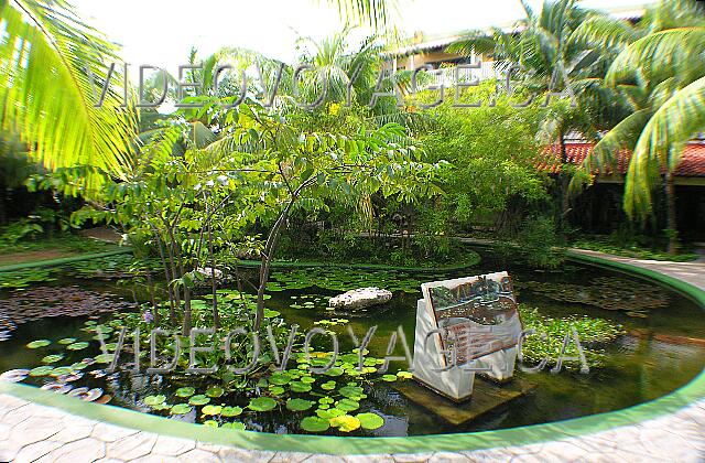 Cuba Cayo Guillermo Iberostar Daiquiri A pond near the lobby with different tree species.