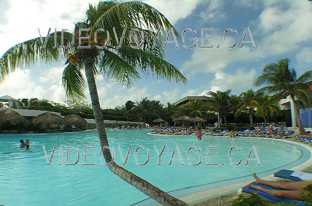 Cuba Cayo-Coco Melia Cayo-Coco Un árbol encima de la piscina.