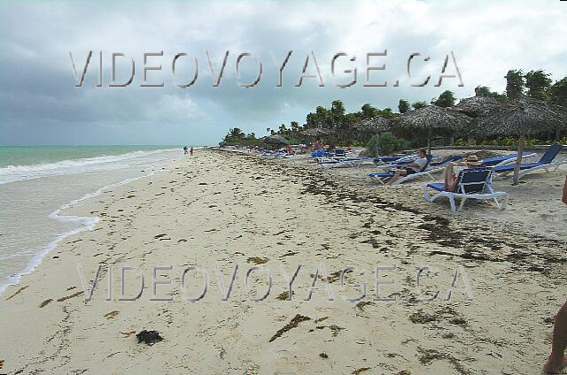 Cuba Cayo-Coco Melia Cayo-Coco Un plage assez longue vers l'est. Une journée avec beaucoup de vent, donc des dépôts d'algues sur la plage.