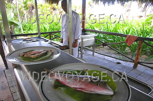 Cuba Cayo-Coco Melia Cayo-Coco Fresh fish of the day.