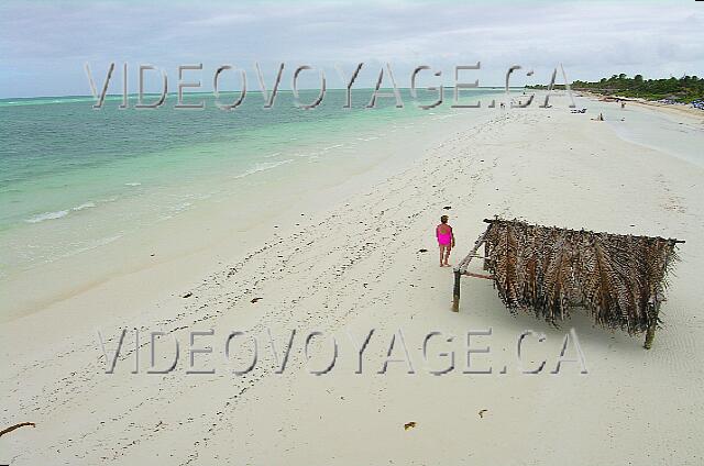 Cuba Cayo Guillermo Melia Cayo Guillermo Una pequeña cabaña en la playa. Aquí, uno puede ver fácilmente la tira de algas dentro de los 50 metros de distancia.
