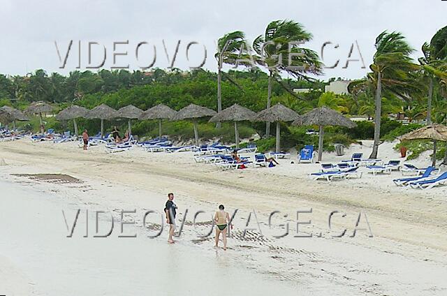 Cuba Cayo Guillermo Melia Cayo Guillermo Las muchas sombrillas! La playa se limpia con regularidad.