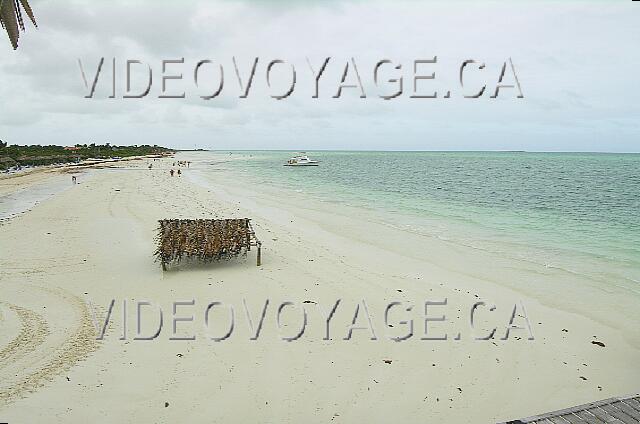 Cuba Cayo Guillermo Melia Cayo Guillermo Más hacia el oeste lomos disminuciones de algas.