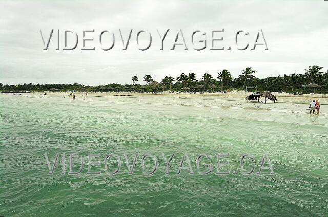 Cuba Cayo Guillermo Melia Cayo Guillermo La marée basse, il n'y a pas beaucoup de distance entre le bord de l'eau et l'algue.