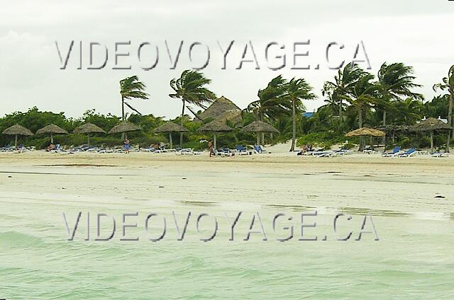 Cuba Cayo Guillermo Melia Cayo Guillermo Muchas sombrillas y tumbonas en la playa.