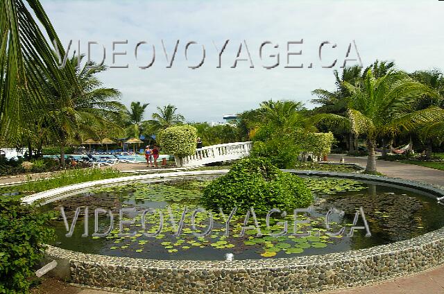 Cuba Cayo Guillermo Melia Cayo Guillermo There are many landscaping.