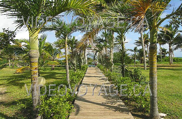 Cuba Cayo-Coco TRYP Cayo-Coco The path to the gazebo.