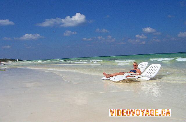 Cuba Cayo-Coco TRYP Cayo-Coco Clientes BEACOUP aman estas sillas ...