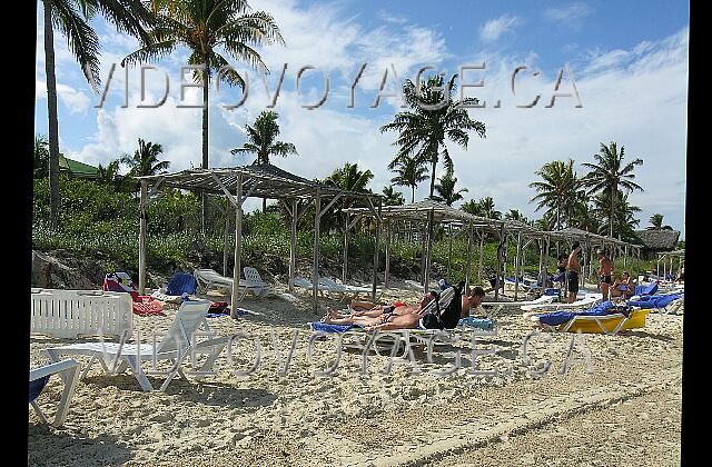 Cuba Cayo-Coco TRYP Cayo-Coco Des palmiers longent le bord de la mer. Beaucoup de chaises longues en plastique.