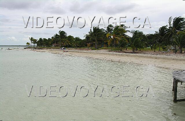 Cuba Cayo Guillermo hotel Club Cayo Guillermo The beach at low tide towards est.La beach has been cleaned.
