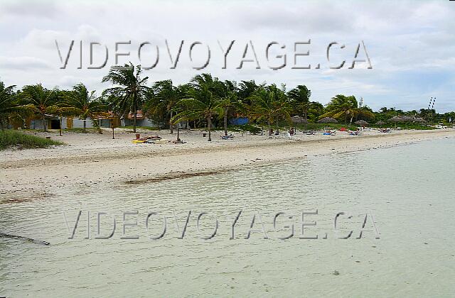 Cuba Cayo Guillermo hotel Club Cayo Guillermo Podemos ver que la marea sube con línea marrón cerca de las palmeras.