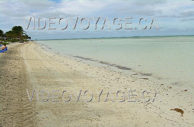 Cuba Cayo Guillermo hotel Club Cayo Guillermo La playa con la marea. Hay sólo 30 cm de profundidad en una longitud de más de 300 metros.