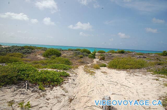 Cuba Cayo Largo Ole Playa Blanca Al oeste del sitio, la forma de acceder a la playa de arena.