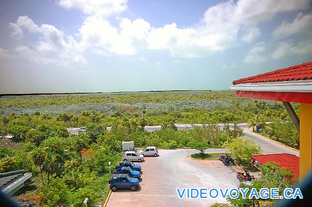 Cuba Cayo Largo Ole Playa Blanca A vegetation consisting of shrubs ...