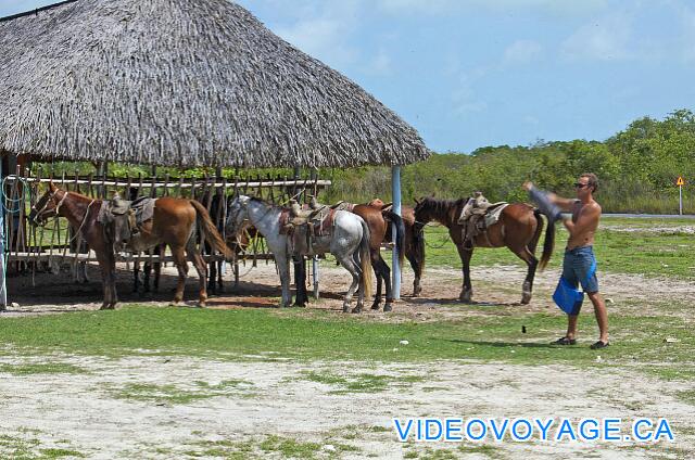 Cuba Cayo Largo Gran Caribe Cayo Largo The riding tour is a short distance from the hotel for 6 CUC.