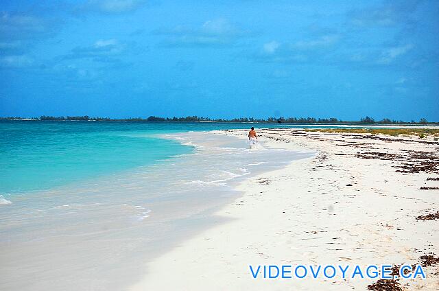 Cuba Cayo Largo Gran Caribe Cayo Largo Pour de longues marches dans la nature