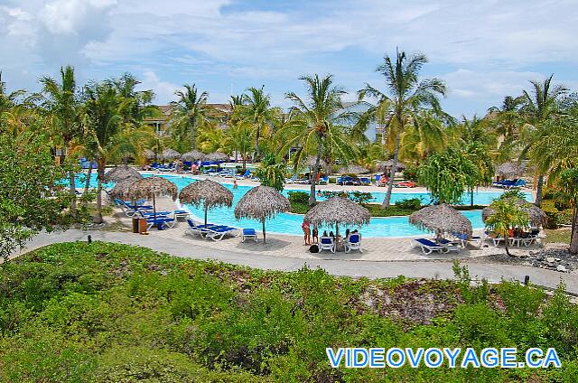 Cuba Cayo Largo Sol Cayo Largo Una piscina con varias palmeras alrededor.