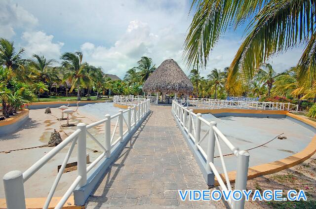 Cuba Cayo Largo Sol Cayo Largo Las cuencas están vacías! ¿Es para evitar los mosquitos en el verano?