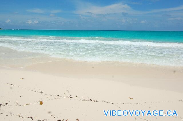 Cuba Cayo Largo Sol Cayo Largo En el mar, las algas sin fondo