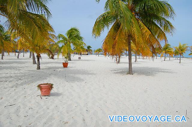 Cuba Cayo Largo Sol Cayo Largo La Sirena beach is very deep. Protected by a coral reef, the waves are always much smaller, the beach changed little in winter or summer ...