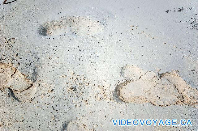 Cuba Cayo Largo Sol Cayo Largo Un sable blanc fin