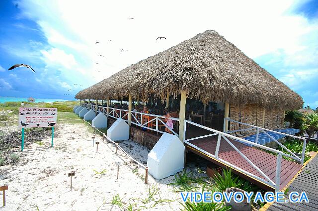 Cuba Cayo Largo Sol Cayo Largo Le Ranchon sur le bord de la plage, accessible par les personnes en chaise roulante.