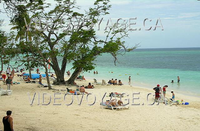 Cuba Guardalavaca Club Amigo Atlantico Guardalavaca Sur la plage du Club Amigo, il y a beaucoup d'arbres, mais pas de palmier.