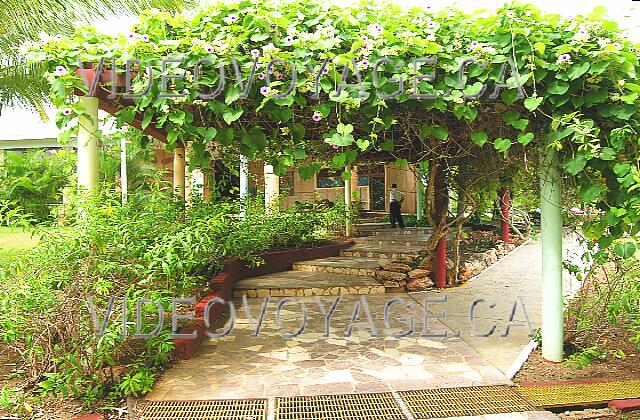 Cuba Guardalavaca Club Amigo Atlantico Guardalavaca A small path to the Lobby.