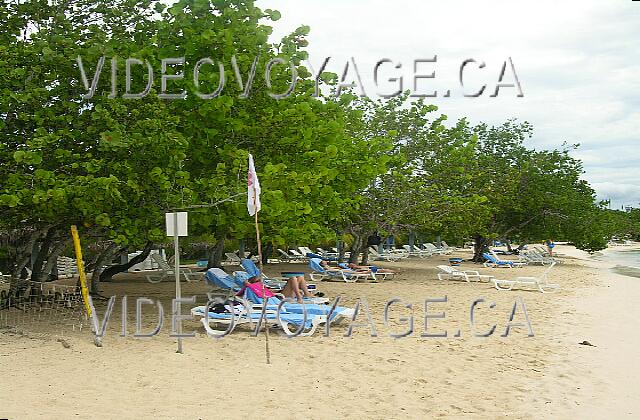 Cuba Guardalavaca Blau Costa Verde Parte de la playa tiene sombrillas. Clientes habritent sol bajo los árboles. La bandera indica que los cubanos que aquí comienza la playa privada. Los árboles están en la parte pública de la playa.