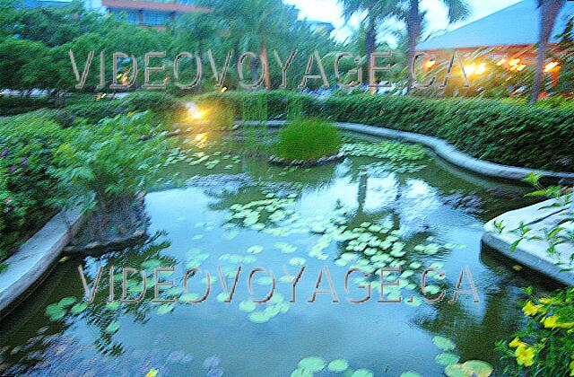 Cuba Guardalavaca Blau Costa Verde The small bridge through a constructed wetland.