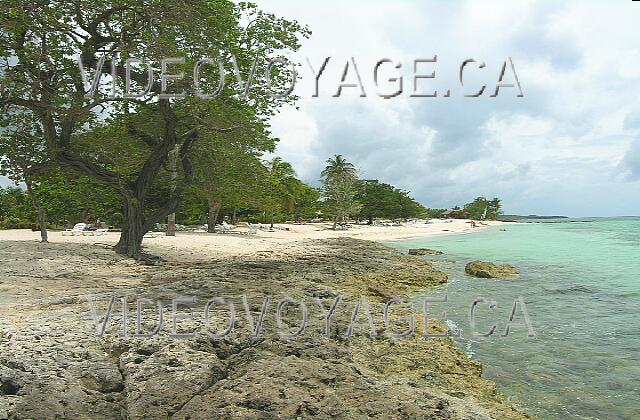 Cuba Guardalavaca Brisas Guardalavaca El inicio del rango de villa sección Brisas. A la izquierda, un árbol que parece crecer directamente a través de las rocas.