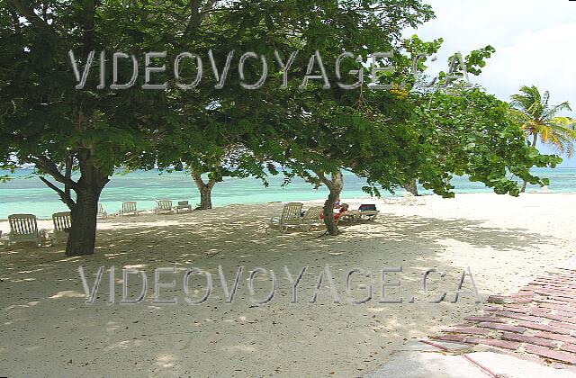 Cuba Guardalavaca Brisas Guardalavaca Les arbres offrent de l'ombre sur la plage.