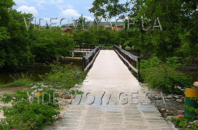 Cuba Guardalavaca Playa Costa Verde To access the beach you have to cross a lagoon, passing over the bridge.